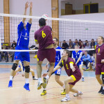 Wenglorz Volley - Wilczek Wilkasy