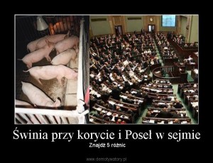 demotywatory