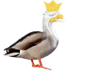 święto-kaczki-Lidzbark-Warmiński