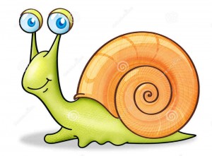 snail-3254749_cr