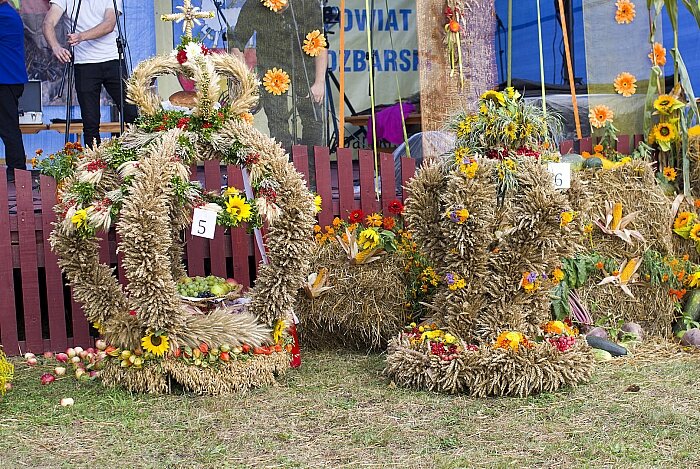 IMGP8654 kopia