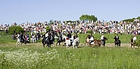  IMG0029