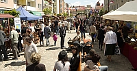  IMG0950