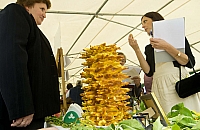 IMG9482