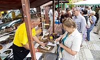  IMG9506