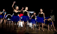  IMG4185