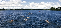  IMG2719