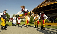  IMG5995