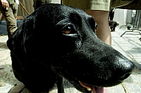  IMG7793