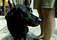  IMG7794