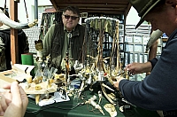  IMG7878