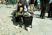  IMG8053