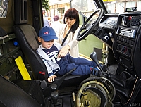 MAJO2933 kopia