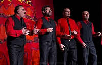 MAJO9429 kopia