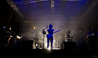MAJO2126 kopia