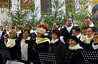 MAJO2282 kopia
