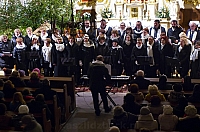 MAJO2345 kopia