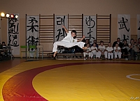  FOT9624
