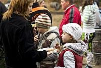  IMG2552