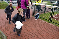  IMG3231