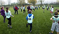 IMG3242