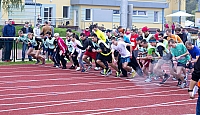  IMG3655