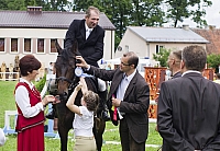  IMG4629