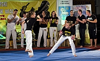  IMG2847