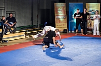  IMG2966