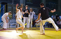MAJO0393 kopia